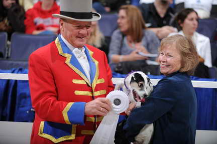 WIHS2-10-30-10-8656-DDeRosaPhoto.JPG