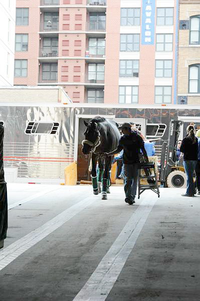 WIHS-10-25-10-Setup-0444-DDeRosaPhoto.jpg