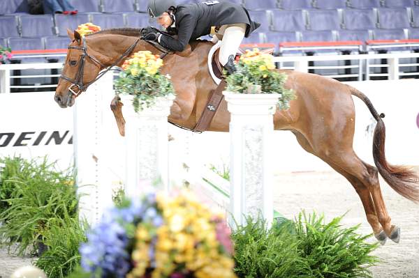 WIHS2-10-27-10-Cl24-1stYrGrHtrStke-0143-SailorsValentine-LouiseSerio-DDeRosaPhoto.jpg