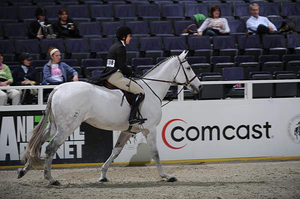 WIHS2-10-27-10-Cl24-1stYrGrHtrStke-0275-CoastZ-PatriciaGriffith-DDeRosaPhoto.jpg