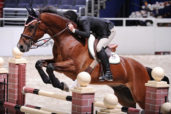 WIHS2-10-28-10-3663-Saladin-MaryAntonini-DDeRosaPhoto.jpg