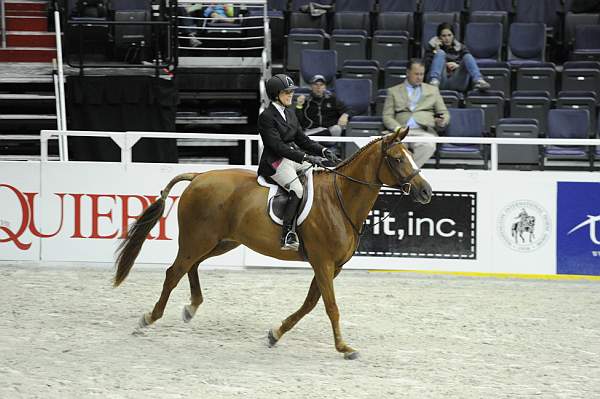 WIHS1-10-26-10-Cl3-GrConfHtr-7617-CoverArt-WinnAlden-DDeRosaPhoto.jpg