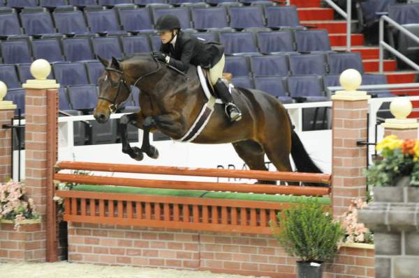 WIHS1-10-26-10-Cl3-GrConfHtr-7644-Surely-PegSeals-DDeRosaPhoto.jpg