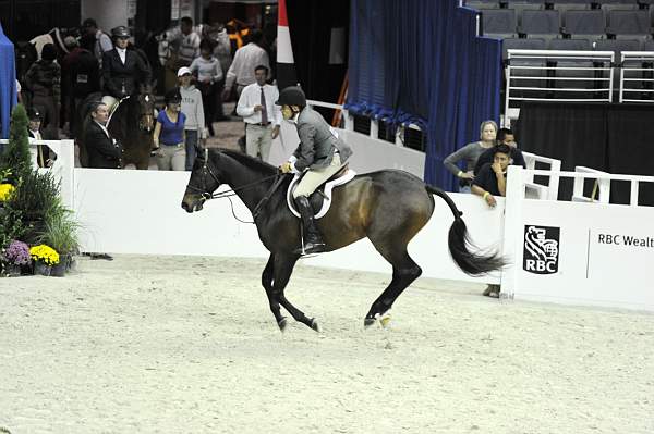 WIHS1-10-26-10-Cl3-GrConfHtr-7731-PurpleHeart-TomBrennan-DDeRosaPhoto.jpg