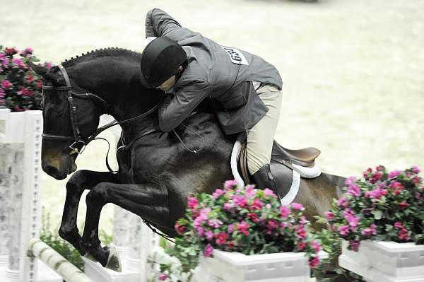 WIHS1-10-26-10-Cl3-GrConfHtr-7734-PurpleHeart-TomBrennan-DDeRosaPhoto.jpg