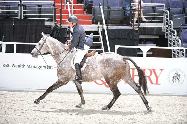 WIHS2-10-27-10-GrConfHtrStke-Cl5-0049-Casallo-BobCrandall-DDeRosaPhoto.jpg