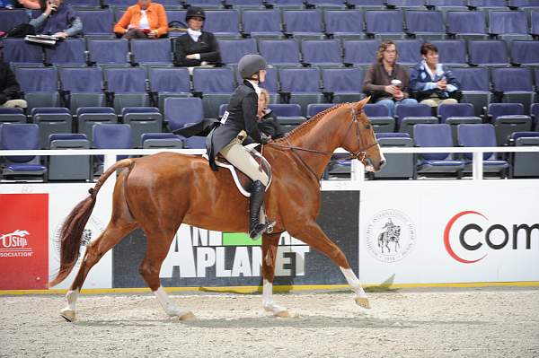 WIHS2-10-27-10-GrConfHtrStke-Cl5-0071-RedSky-MaggieJayne-DDeRosaPhoto.jpg