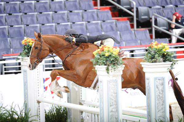 WIHS2-10-27-10-GrConfHtrStke-Cl5-0072-RedSky-MaggieJayne-DDeRosaPhoto.jpg