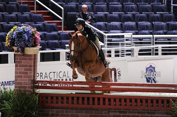 WIHS2-10-27-10-GrConfHtrStke-Cl5-0076-CoverArt-WinnAlden-DDeRosaPhoto.jpg
