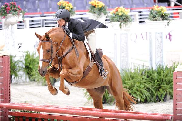 WIHS2-10-27-10-GrConfHtrStke-Cl5-0077-CoverArt-WinnAlden-DDeRosaPhoto.jpg