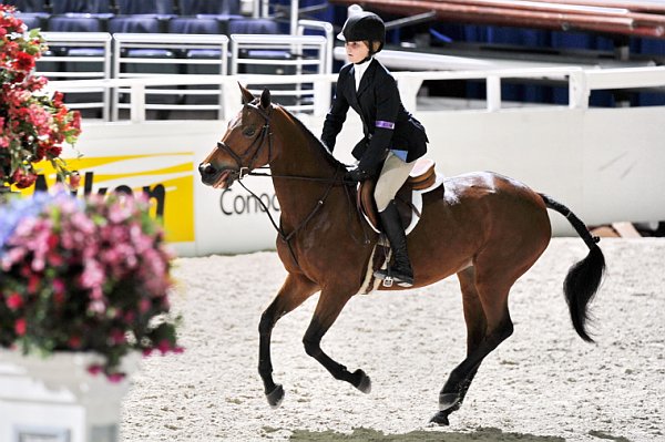 WIHS3-10-31-10-Cl123-LgPnyHtr-9896-WoodlandsMistyRain-KatherineStrauss-DDeRosaPhoto.jpg