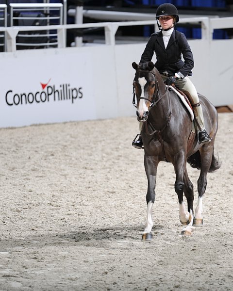 WIHS3-10-31-10-Cl123-LgPnyHtr-9905-Camelot-AleeceJarman-DDeRosaPhoto.jpg