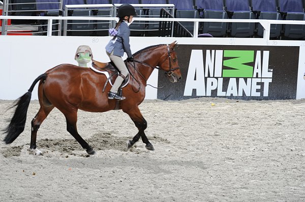 WIHS3-10-31-10-Cl113-MedPnyHtr-9468-Cleverist-DaisyFarish-DDeRosaPhoto.jpg