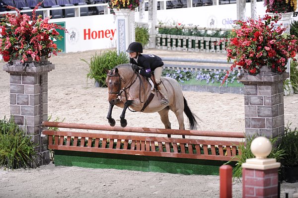 WIHS3-10-31-10-Cl113-MedPnyHtr-9487-PetuniaMae-KirklenPetersen-DDeRosaPhoto.jpg