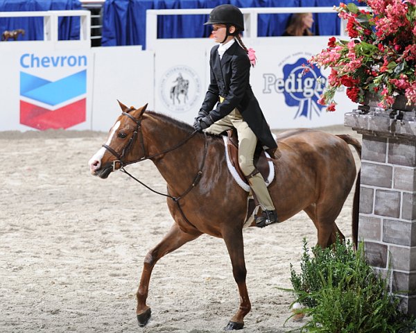 WIHS3-10-31-10-Cl114-MedPnyHtr-9596-Cosmic-CarolineKellogg-DDeRosaPhoto.jpg