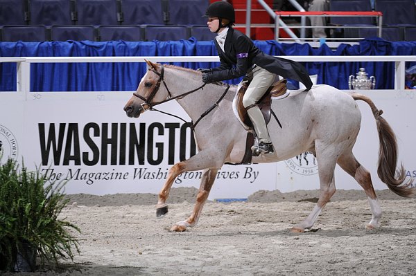 WIHS3-10-31-10-Cl114-MedPnyHtr-9615-ClovermeadeBunnySideUp-AliTritschler-DDeRosaPhoto.jpg