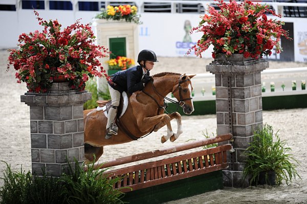 WIHS3-10-31-10-Cl114-MedPnyHtr-9714-Blondie-ParkerWright-DDeRosaPhoto.jpg
