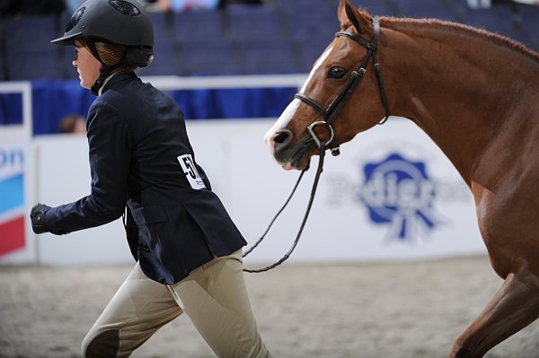WIHS3-10-31-10-Cl114-MedPnyHtr-9750-EverLuvin-VictoriaColvin-DDeRosaPhoto.jpg