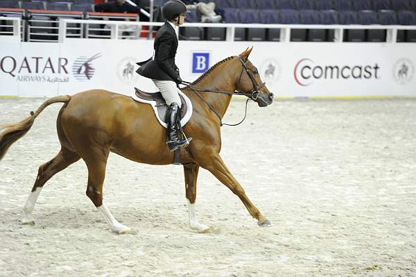 WIHS-10-26-10-Cl13-RgConfHtr-7556-Quintessential-IsabellaNorton-DDeRosaPhoto.jpg