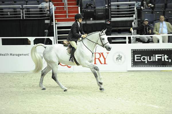 WIHS1-10-26-10-Cl12-RgConfHtr-7389-Quintessential-IsabellaNorton-C.Quito-JessieLang-DDeRosaPhoto.jpg