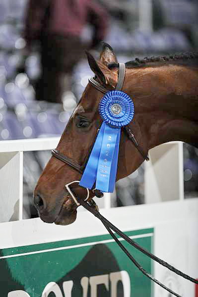WIHS2-10-27-10-Cl44-RgWkgHtrStke-0430-Rosalynn-KelleyFarmer-DDeRosaPhoto.jpg