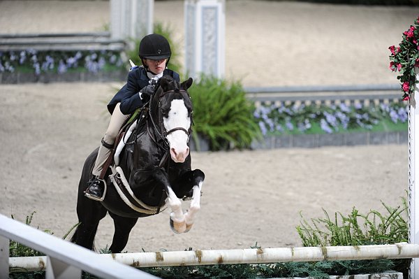 WIHS3-10-31-10-9242-Zorro-SarahCliftonYandell-DDeRosaPhoto.jpg