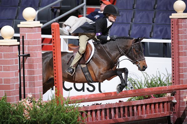 WIHS3-10-31-10-9375-Houdini-EmmaWujek-DDeRosaPhoto.jpg