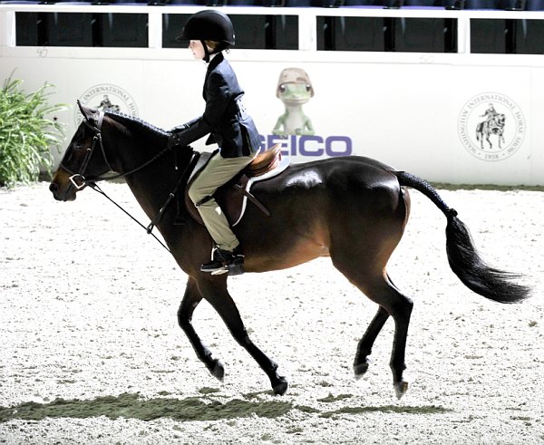 WIHS3-10-31-10-Cl103-SmPnyHtr-9137-Houdini-EmmaWujek-DDeRosaPhoto.jpg
