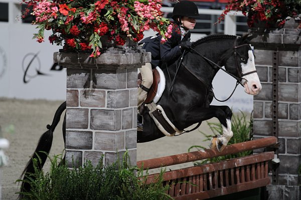 WIHS3-10-31-10-Cl103-SmPnyHtr-9147-Zorro-SarahCliftonYandell-DDeRosaPhoto.jpg