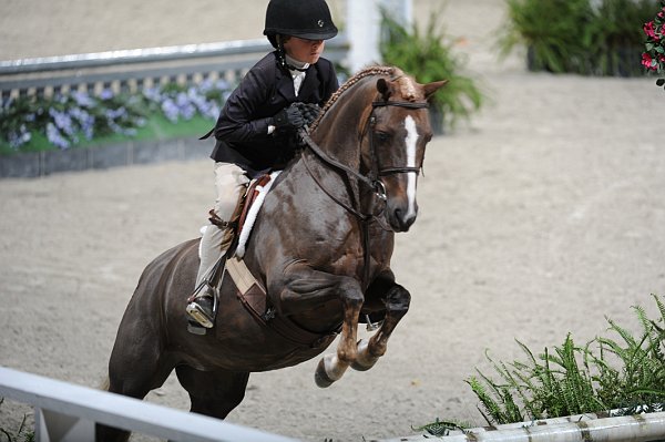 WIHS3-10-31-10-Cl103-SmPnyHtr-9184-RicoSuave-BrittanyJarman-DDeRosaPhoto.jpg