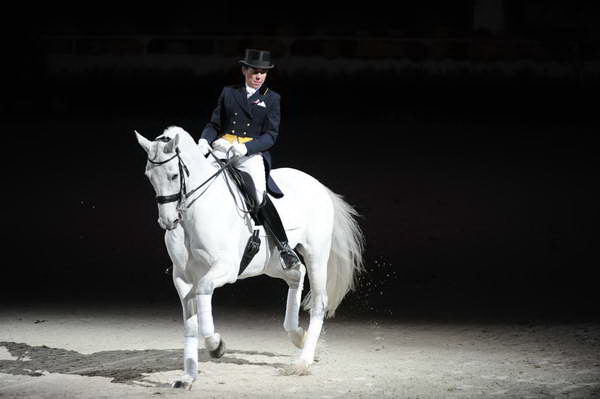 WIHS2-10-29-10-6405-PamGoodrich-Lamborghini-DDeRosaPhoto.JPG