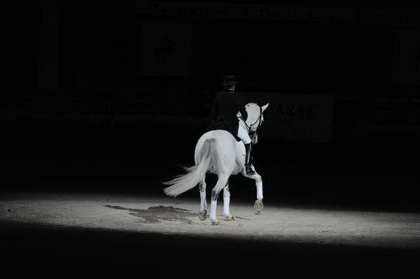 WIHS2-10-29-10-6417-PamGoodrich-Lamborghini-DDeRosaPhoto.JPG