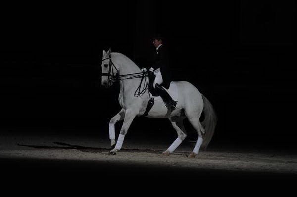 WIHS2-10-29-10-6466-PamGoodrich-Lamborghini-DDeRosaPhoto.JPG