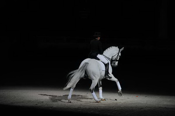 WIHS2-10-29-10-6489-PamGoodrich-Lamborghini-DDeRosaPhoto.JPG