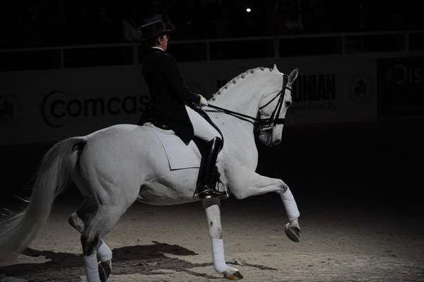 WIHS2-10-29-10-6523-PamGoodrich-Lamborghini-DDeRosaPhoto.JPG