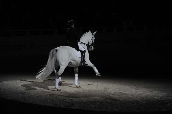 WIHS2-10-29-10-6527-PamGoodrich-Lamborghini-DDeRosaPhoto.JPG