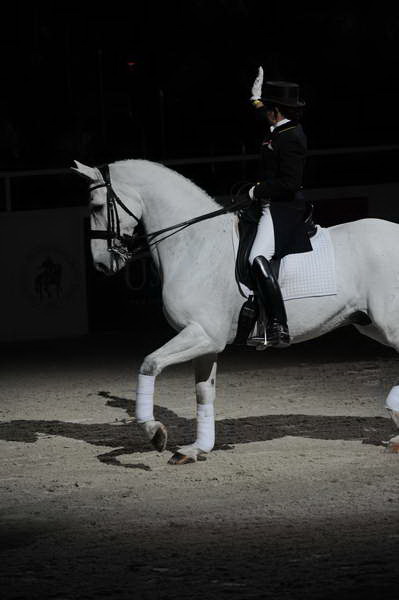 WIHS2-10-29-10-6553-PamGoodrich-Lamborghini-DDeRosaPhoto.JPG