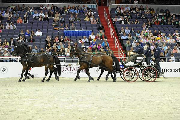 WIHS2-10-28-10-4675-ChesterWeber-DDeRosaPhoto.jpg