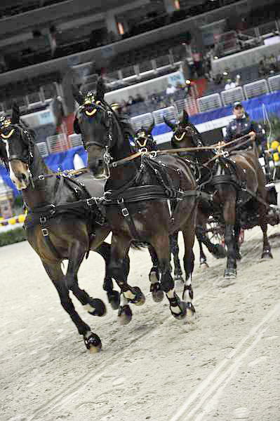 WIHS2-10-28-10-DSC_7921-ChesterWeber-DDeRosaPhoto.jpg