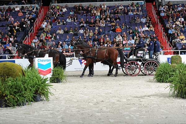 WIHS2-10-30-10-8661-ChesterWeber-DDeRosaPhoto.jpg