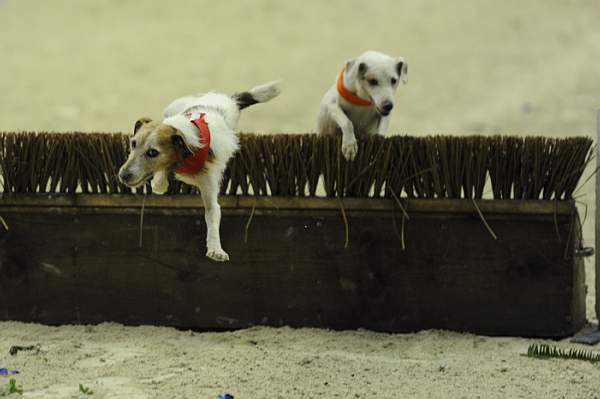 WIHS2-10-28-10-4629-DDeRosaPhoto.jpg