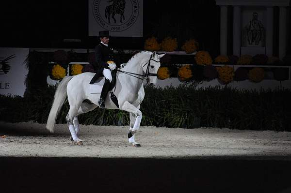 WIHS2-10-29-10-6393-PamGoodrich-Lamborghini-DDeRosaPhoto.jpg