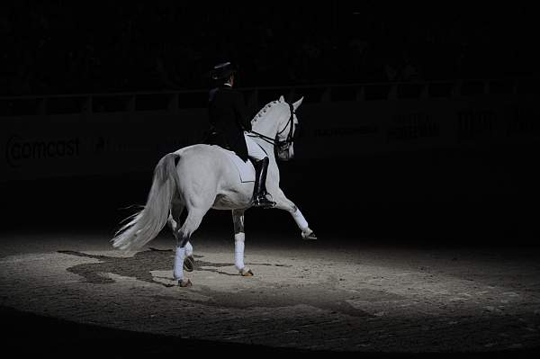 WIHS2-10-29-10-6527-PamGoodrich-Lamborghini-DDeRosaPhoto.jpg