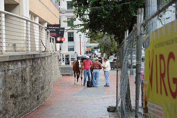 WIHS2-2010-WEG_0627-DDeRosaPhoto.jpg