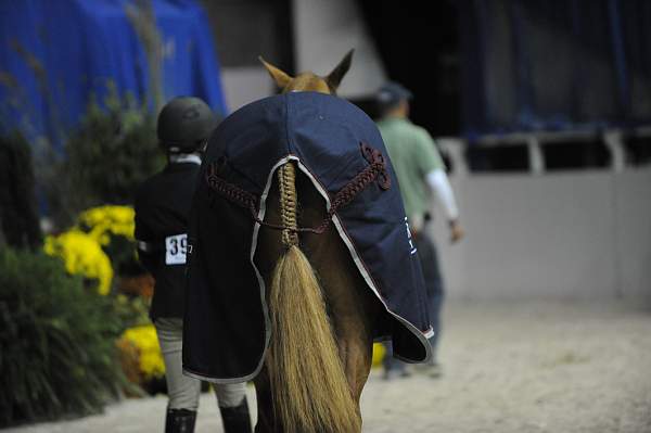 WIHS-10-23-09-DSC_8514-JrHtrGrCh-Confidential-HasbrouckDonovan-DDeRosaPhoto.jpg