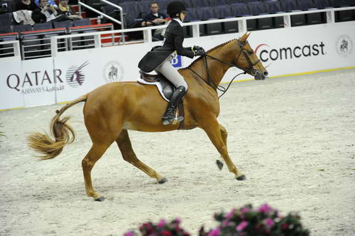 WIHS1-10-26-10-Cl186-WIHS_ChHtrCH-9382-Adena-AllisonKarlovec-DDeRosaPhoto.jpg