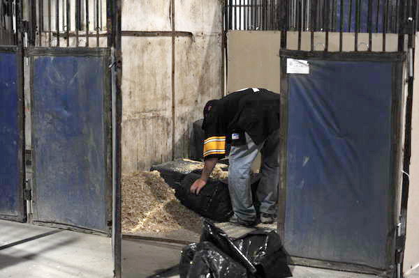 WIHS-10-24-10-Setup-0116-DDeRosaPhoto.jpg