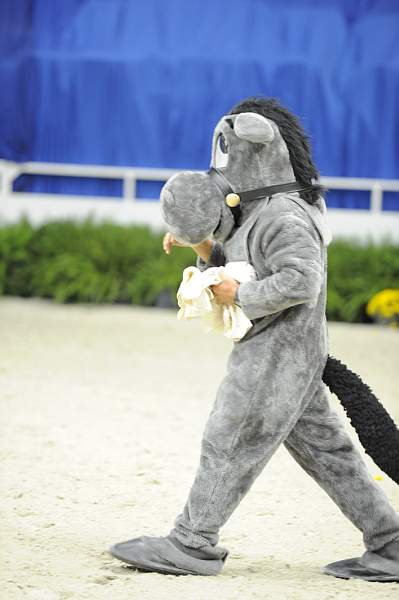 WIHS2-10-28-10-4394-DDeRosaPhoto.jpg