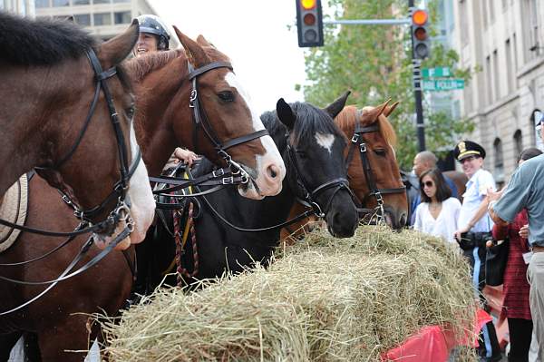 WIHS2-10-27-10-BreakfastMtdPolice-0490-DDeRosaPhoto.jpg