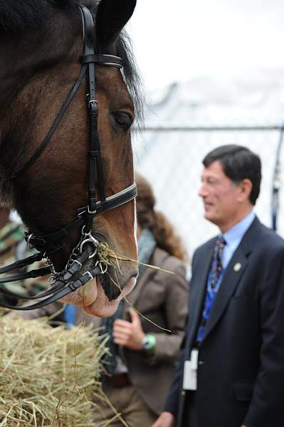 WIHS2-10-27-10-BreakfastMtdPolice-0545-DDeRosaPhoto.jpg